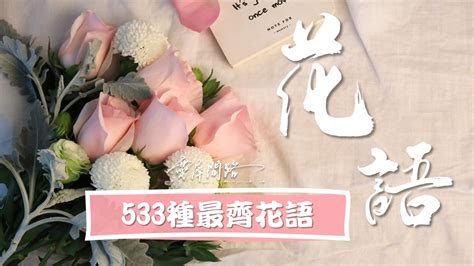 花語大全|533種花的花語 